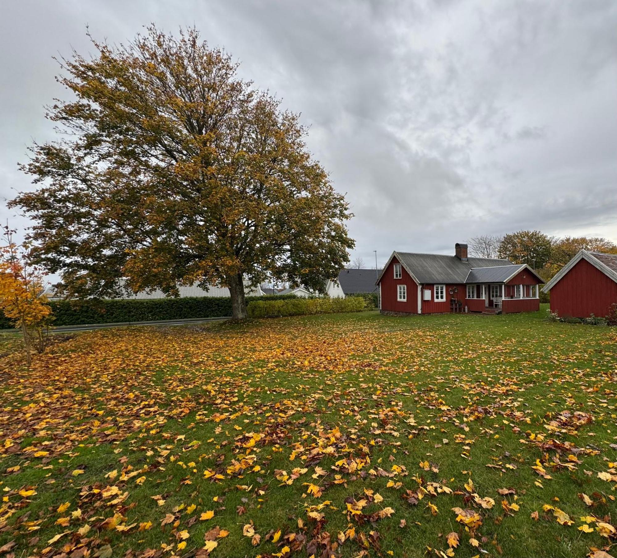 Villa Stora Loenn à Falkenberg Extérieur photo